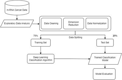 Deep learning techniques for cancer classification using microarray gene expression data